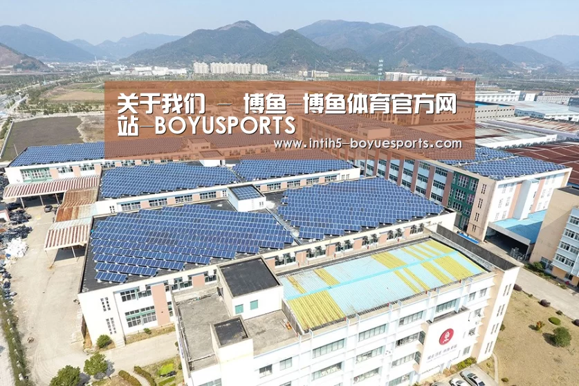 案例展示二