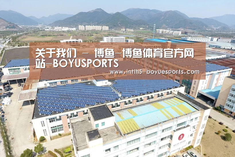 案例展示一