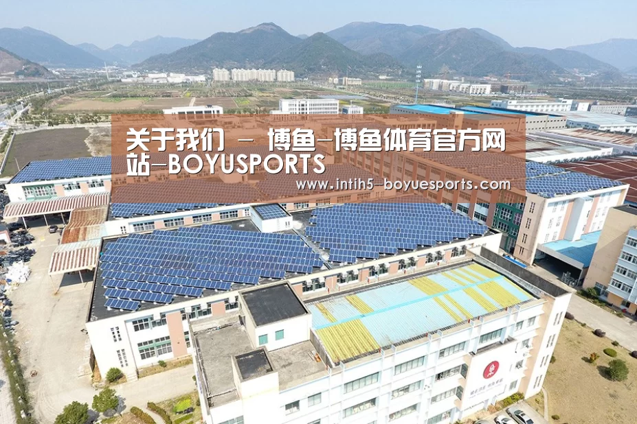 案例展示四
