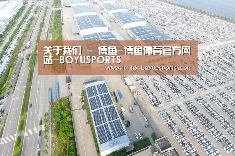 案例展示四