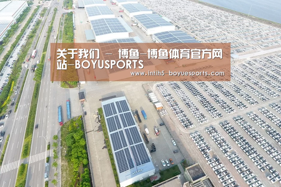 案例展示三