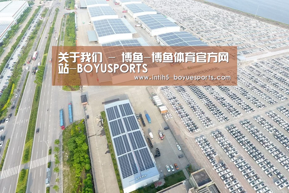 案例展示二