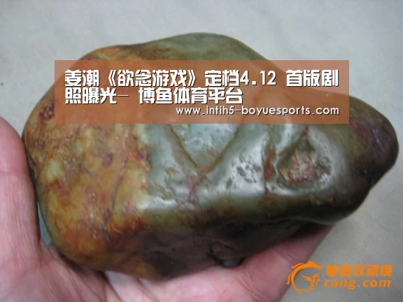 博鱼体育平台