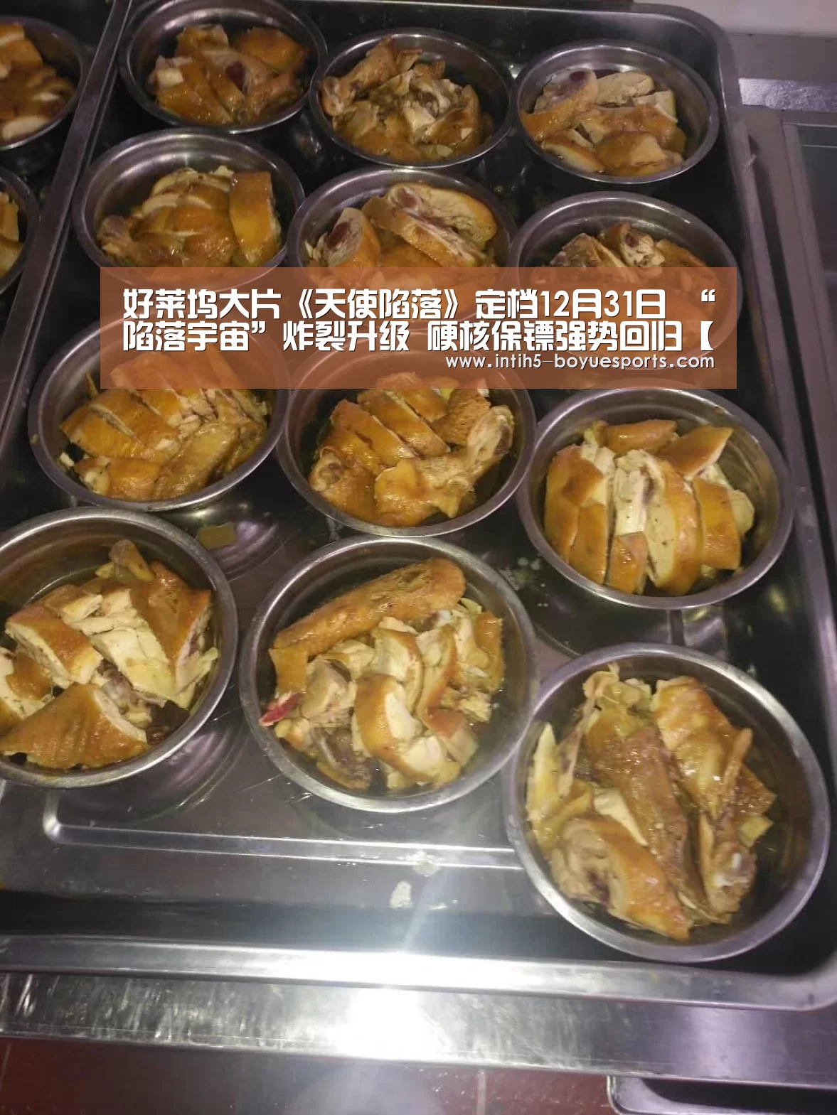  博鱼体育官网