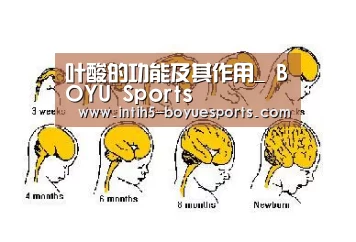  博鱼体育平台