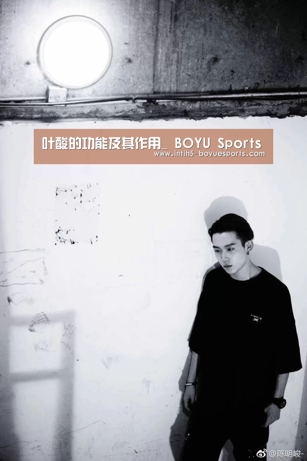  博鱼官方网站入口