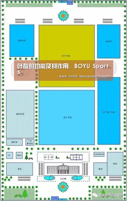  BOYU Sports