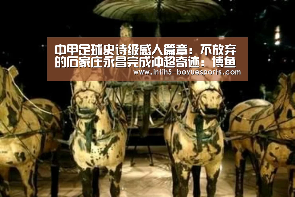  博鱼官方网站入口