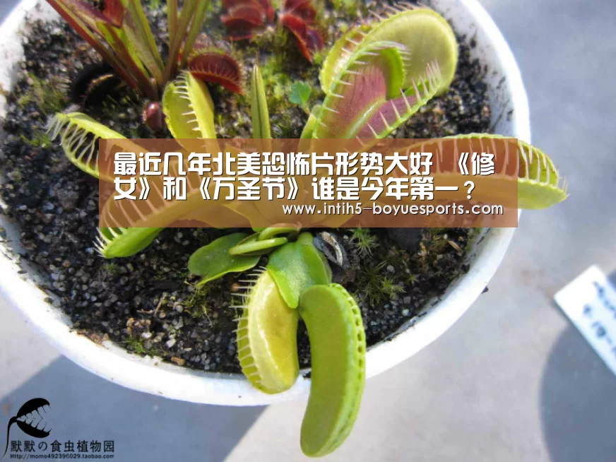  博鱼官方网站入口