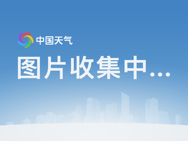  博鱼体育平台